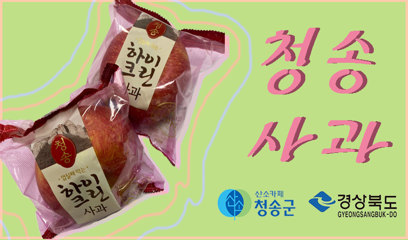 청송 사과 수출
